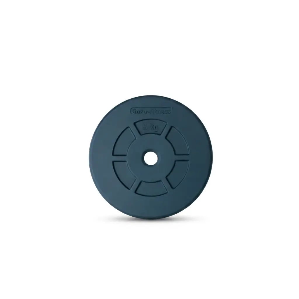 5 kg rubber weight plate gym wholesale